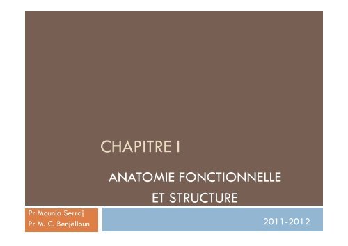 LA PHYSIOLOGIE RESPIRATOIRE