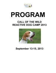 Reactive Dog Camp - City Dog Country Dog Training