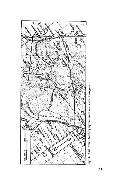 Sterna, bind 9 nr 2 (PDF-fil) - Museum Stavanger