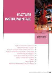 FACTURE INSTRUMENTALE - Région Centre