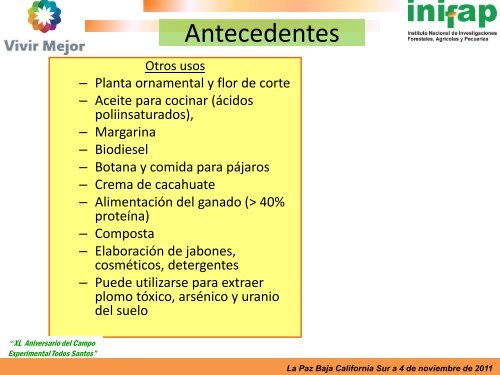 ANTECEDENTES Y FENOLOGÍA DEL GIRASOL