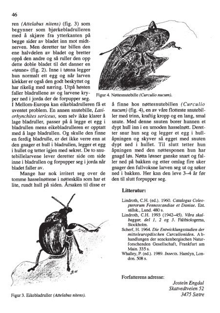 Insekt-Nytt - Norsk entomologisk forening