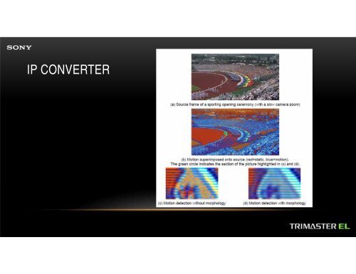 Current Developments in Reference Displays.pdf