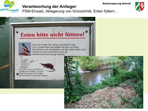 Vortrag Birgit Rehsies: Aktuelle Informationen - Weser NRW