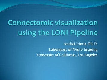 Connectome visualization using the LONI Pipeline