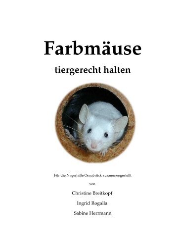 Farbmäuse - tiergerecht halten