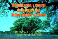 Identificación y control de insectos que dañan árboles ... - ISA Hispana