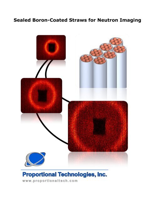 Sealed Boron-Coated Straws for Neutron Imaging - Proportional ...