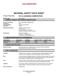 fe-1a acidizing composition - Catskill Citizens for Safe Energy