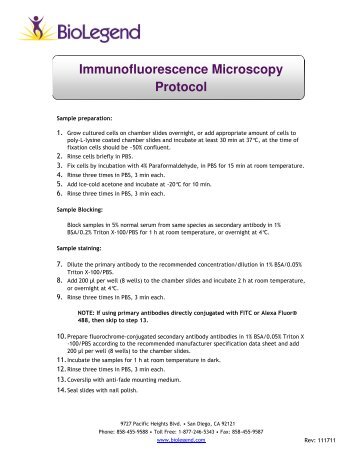 Immunofluorescence Microscopy Protocol - BioLegend