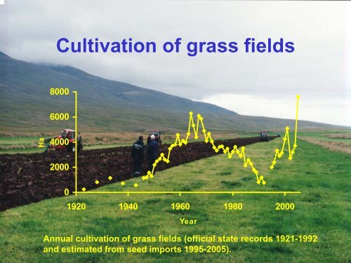 Timothy â the saviour of Icelandic agriculture?