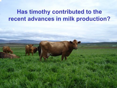 Timothy â the saviour of Icelandic agriculture?