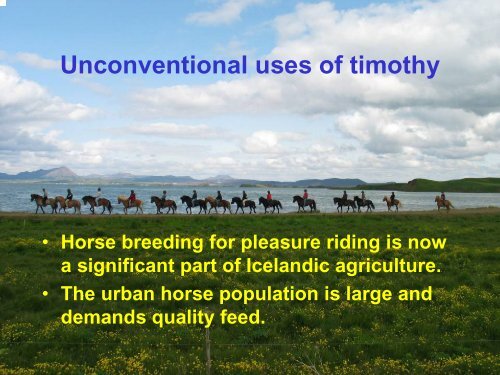 Timothy â the saviour of Icelandic agriculture?