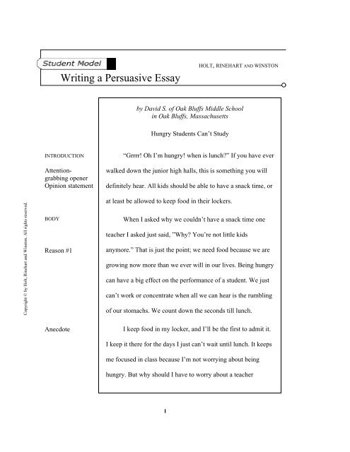 persuasive essay format high school