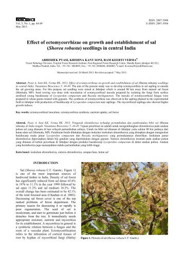 Effect of ectomycorrhizae on growth and establishment of sal ...