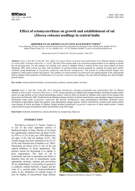 Effect Of Ectomycorrhizae On Growth And Establishment Of Sal