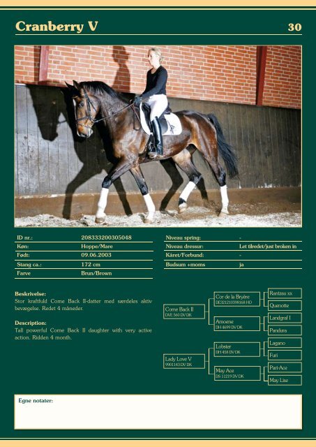 Auktions Katalog - Viegaard