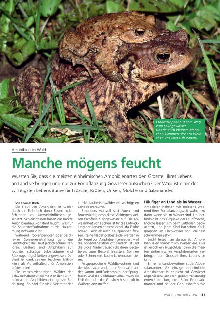 Manche mögens feucht - Waldwissen.net