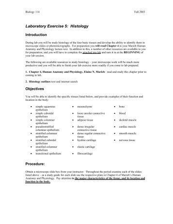 Laboratory Exercise 5: Histology - Employees Csbsju