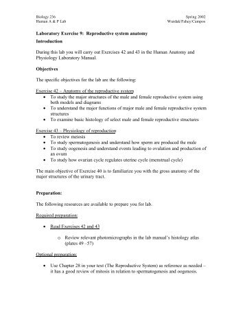 Laboratory Exercise 9: Reproductive system anatomy Introduction ...