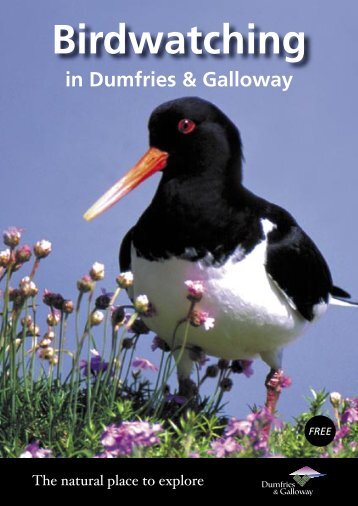 Birdwatching in Dumfries & Galloway - The Scottish Ornithologists ...