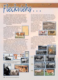 Fleckvieh History 08 - American Simmental Association