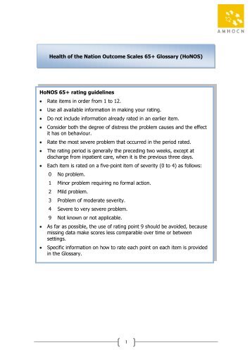 Health of the Nation Outcome Scales 65+ Glossary (HoNOS)