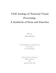 VLSI Analogs of Neuronal Visual Processing: A synthesis of form ...