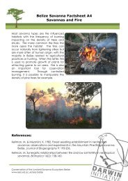 Belize Savanna Factsheet A4 Savannas and Fire