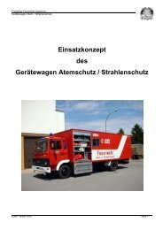 Einsatzkonzept GW-AS Stand 01-2006.pdf - ABC-Einsatzhandbuch