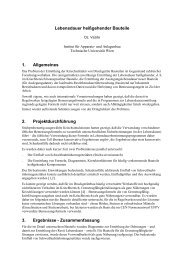 Bericht im PDF-Format - ZID - Technische UniversitÃƒÂ¤t Wien