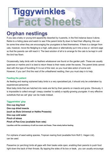 Orphan nestlings - Tiggywinkles