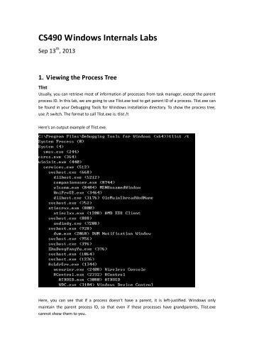 CS490 Windows Internals Labs