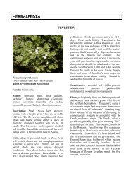 HERBALPEDIA - HerbWorld