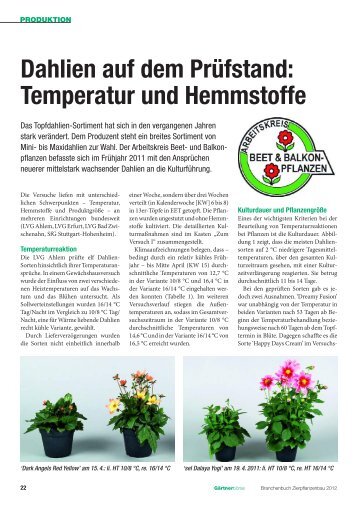 Dahlien auf dem PrÃ¼fstand: Temperatur und ... - Arbeitskreis Beet