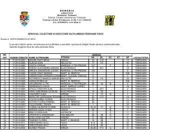 AFISARE SOMATII INTERNET SCESA 2010 - DFMT