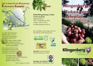 [PDF] Klingenberger Esskastanien-Lehrpfad - IG Edelkastanie