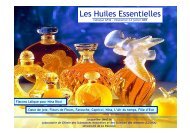 Huile essentielle Bois de Cèdre 20ml - Le Cabanon Provencal