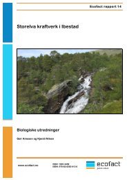 Storelva kraftverk i Ibestad â Biologiske utredninger. Ecofact rapport ...