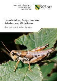 Heuschrecken, Fangschrecken, Schaben und ... - Publikationen