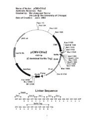 pCMV-CHis2 (6xHis)