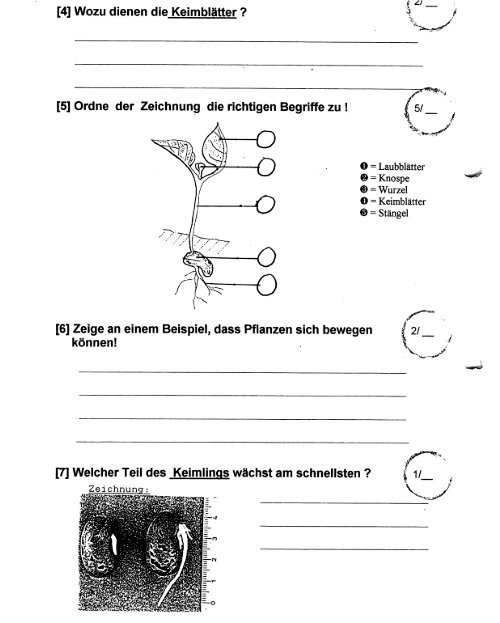 Bohnen-Jim