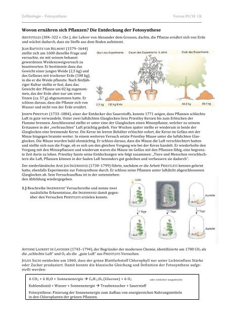 Fotosynthese & Atmung