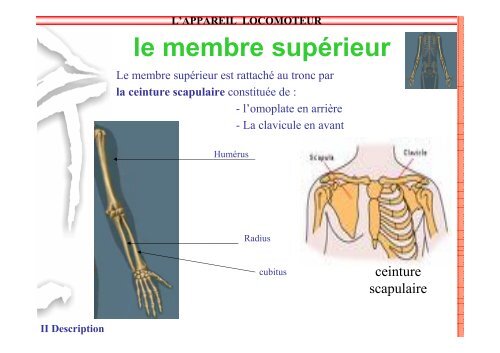 SAP 1 SystÃ¨me locomoteur - SDIS14