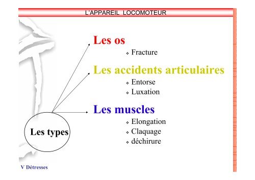 SAP 1 SystÃ¨me locomoteur - SDIS14