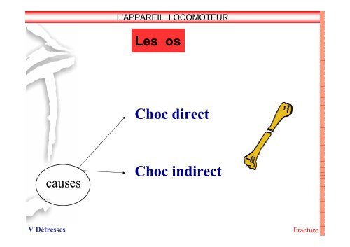 SAP 1 SystÃ¨me locomoteur - SDIS14