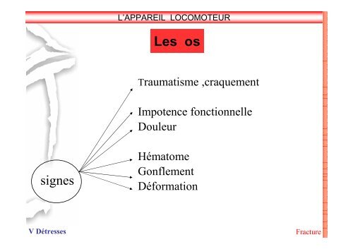 SAP 1 SystÃ¨me locomoteur - SDIS14