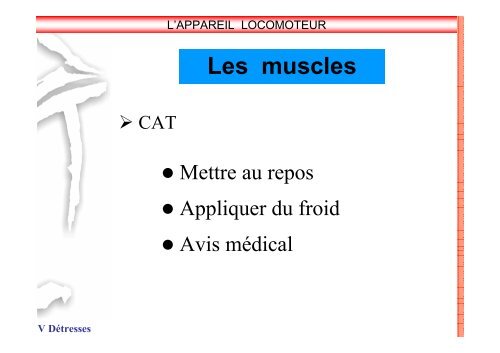 SAP 1 SystÃ¨me locomoteur - SDIS14