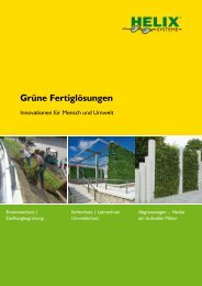 Grüne Fertiglösungen - Bodendecker am laufenden Meter