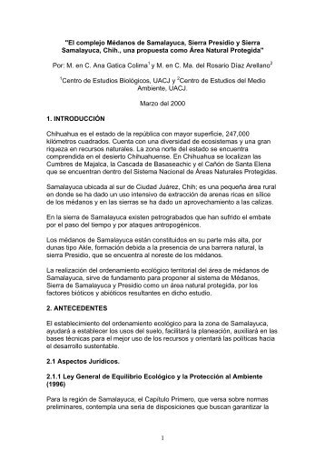 "El complejo Mdanos de Samalayuca, Sierra Presidio y Sierra ...